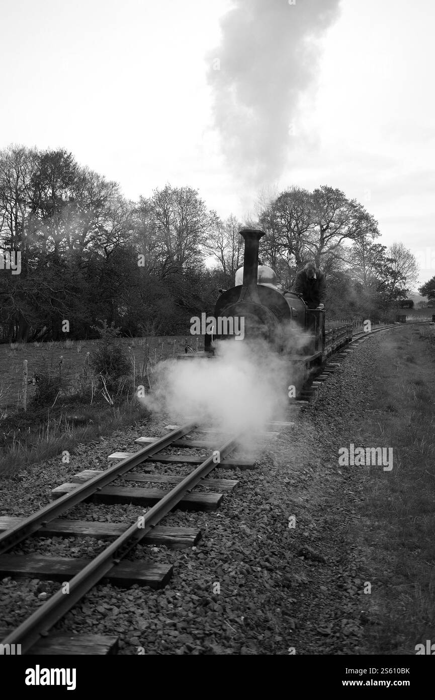 'Winifred' si avvicina alla stazione di Llangower da nord con un treno di carri di ardesia. Foto Stock