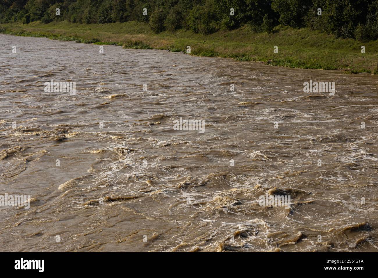 Fiume fangoso che scorre velocemente con acqua turbolenta causata da forti piogge che attraversano la riva verde del fiume boscosa in una giornata di sole Foto Stock