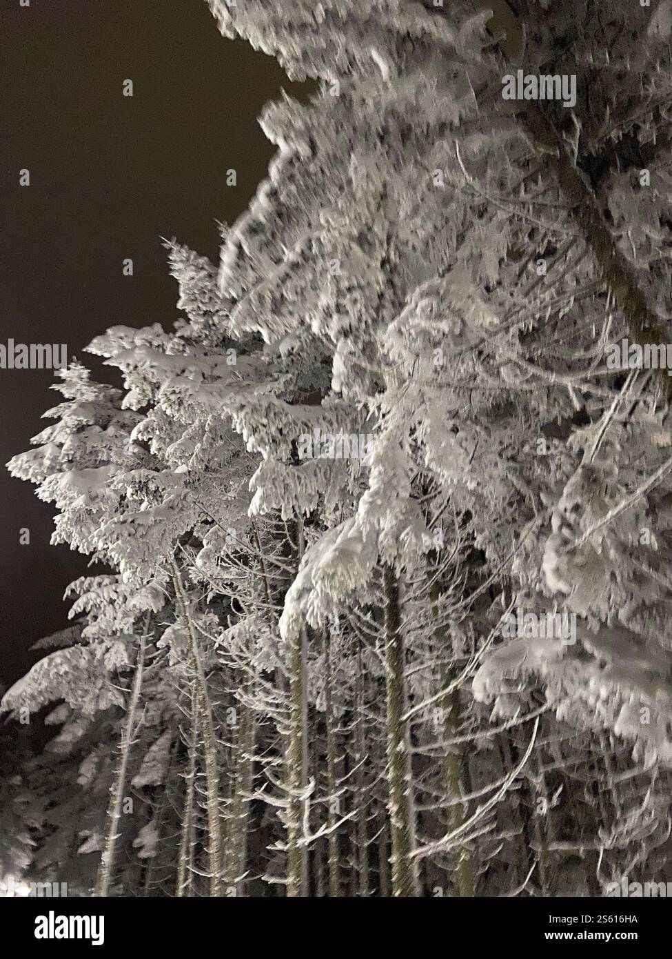 Racchette da neve bianche Foto Stock