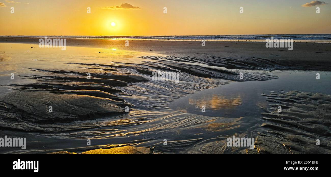 "Un momento tranquillo mentre il tramonto dorato dipinge il cielo, riflesso nelle acque calme con un cigno in perfetta armonia." - Immagine stock catturata con smartphone