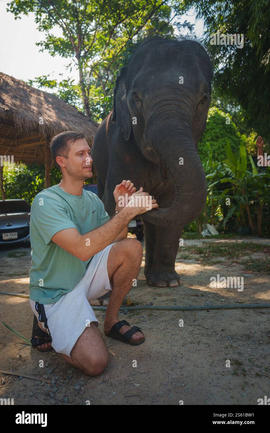 Uomo che interagisce con il giovane elefante nell'ambiente tropicale della Thailandia Foto Stock