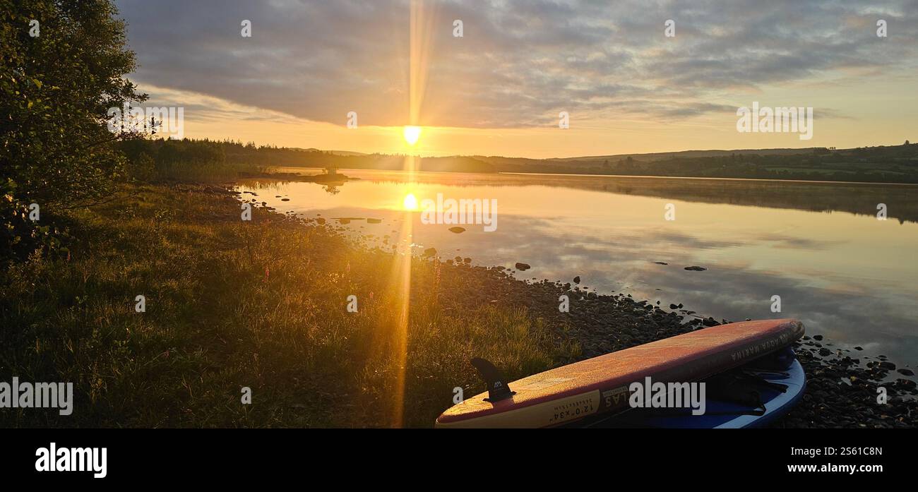 "Un momento tranquillo mentre il tramonto dorato dipinge il cielo, riflesso nelle acque calme con un cigno in perfetta armonia." - Immagine stock catturata con smartphone