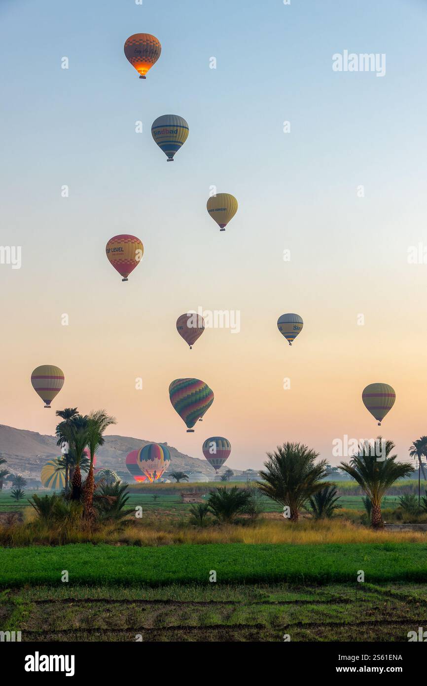 Decolla da colossali mongolfiere all'alba vicino alla Valle dei Re sulla sponda occidentale di Luxor, in Egitto Foto Stock