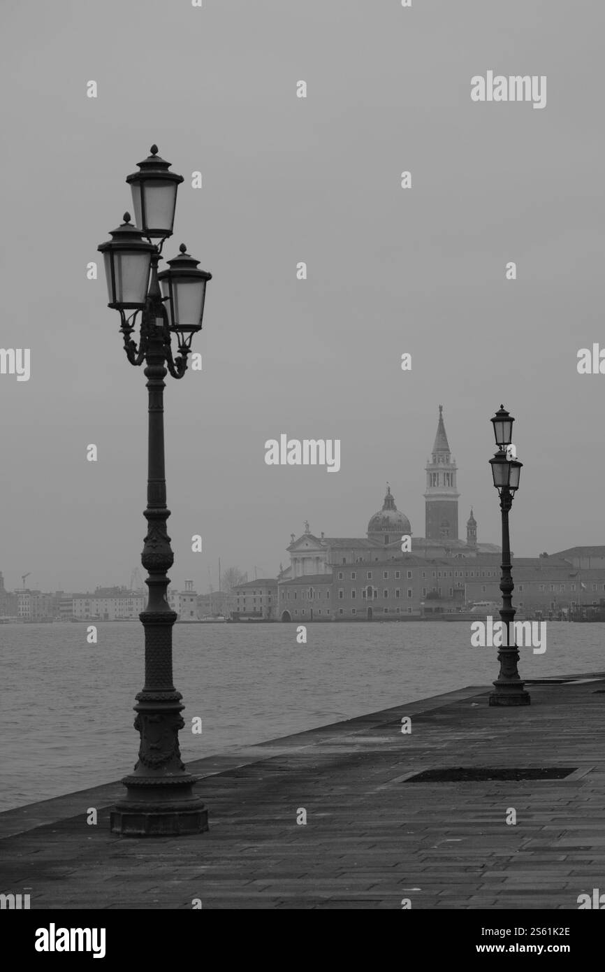 Piccioni in Piazza San Marco Venezia Foto Stock