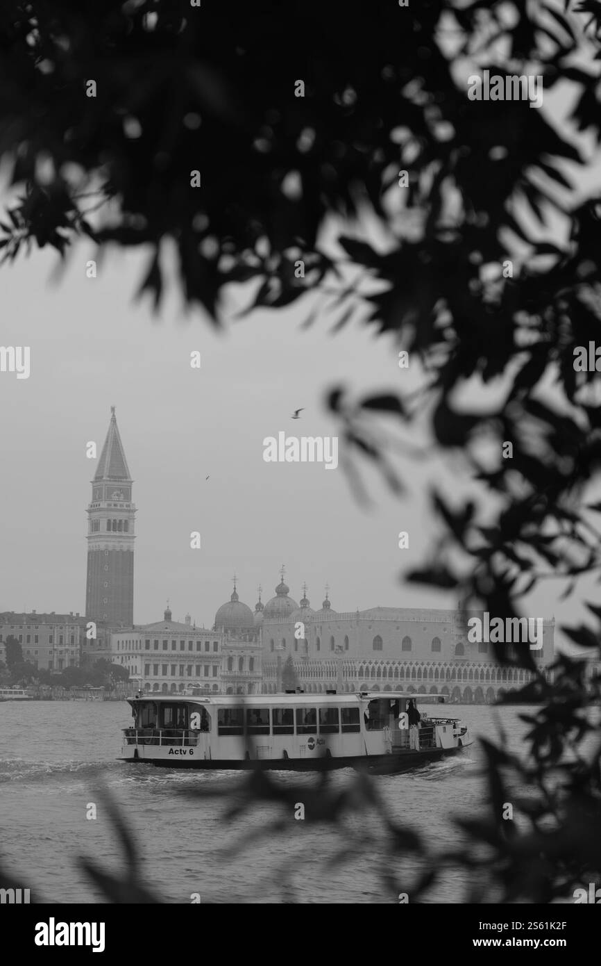 Skyline di San Marco con vaporetto e nebbia Foto Stock