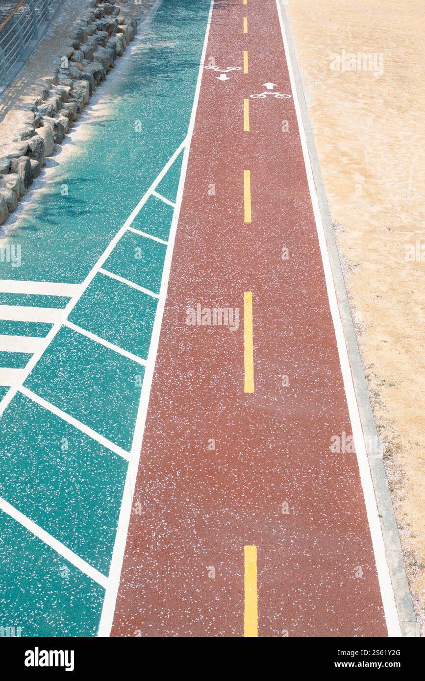 Strada ciclabile Oncheon Stream con petali di ciliegio in fiore a Busan, Corea Foto Stock