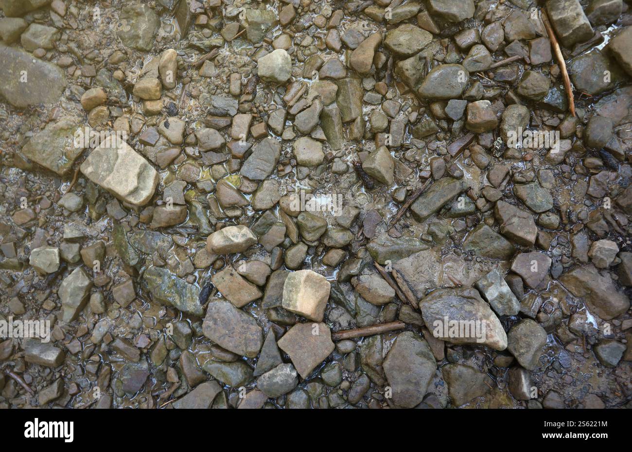 Sfondo di una superficie di pietre sassose frantumate nella zona di montagna. Struttura piatta con luce naturale. Sfondo di pietre sassose frantumate superficie in Foto Stock