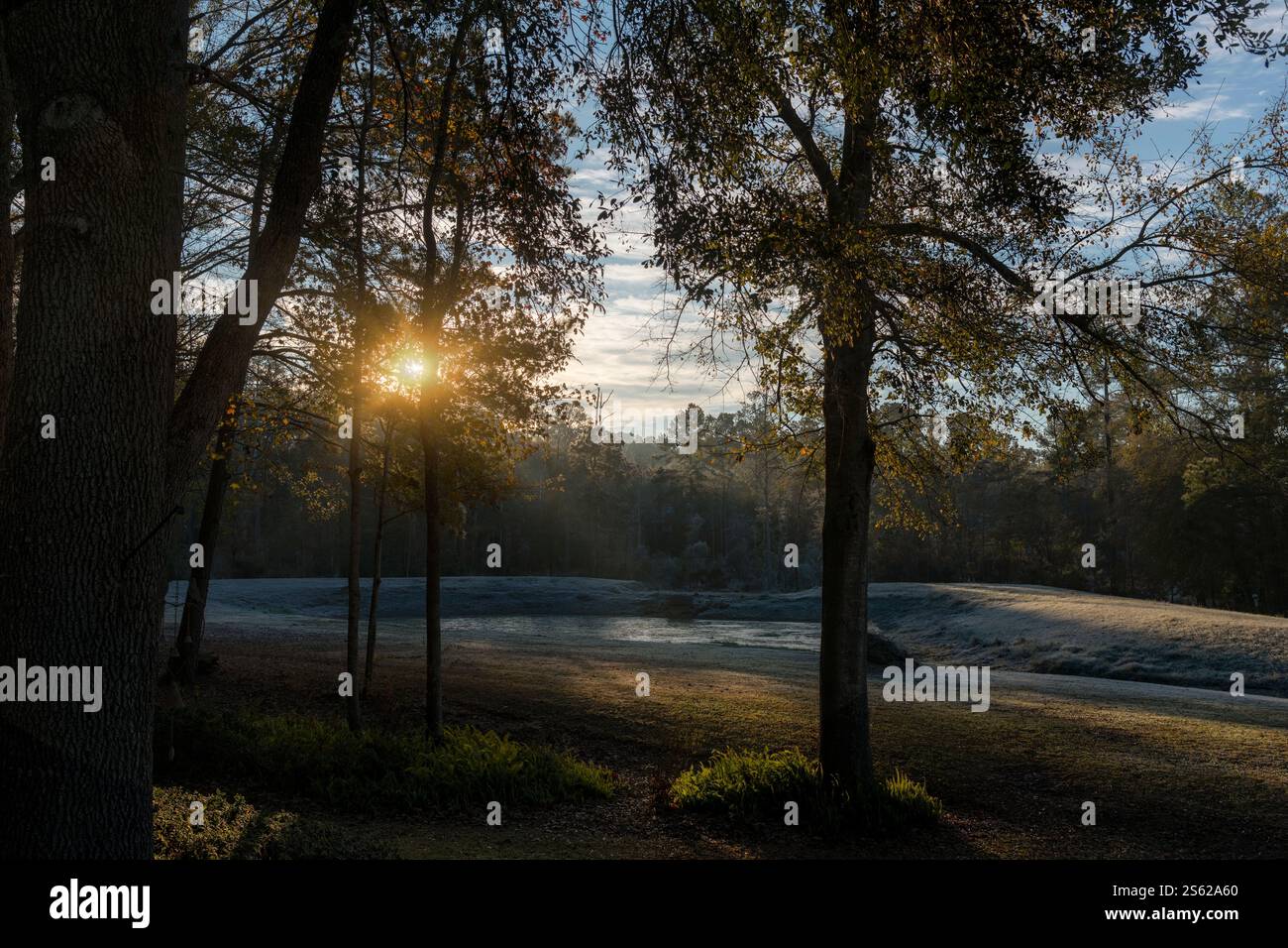 Gelo mattutino sul paesaggio e bagliore del sole a Tallahassee, Florida Foto Stock
