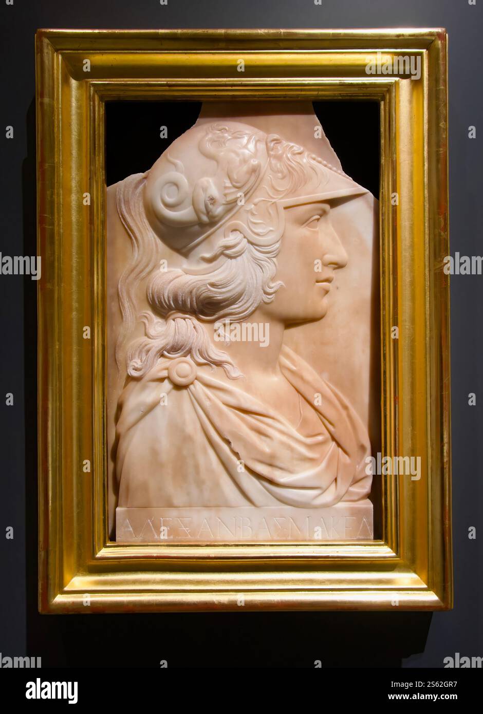 Rilievo in marmo del XVIII secolo di Alessandro Magno di Macedonia Galleria delle collezioni reali Museo del Palazzo reale Madrid Spagna Europa Foto Stock
