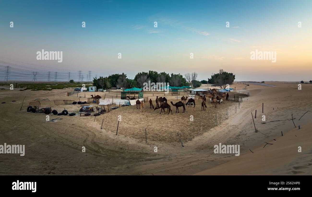 Vista del paesaggio desertico di al Hofuf, Arabia Saudita. Profondità di campo focalizzata selettiva. Foto Stock