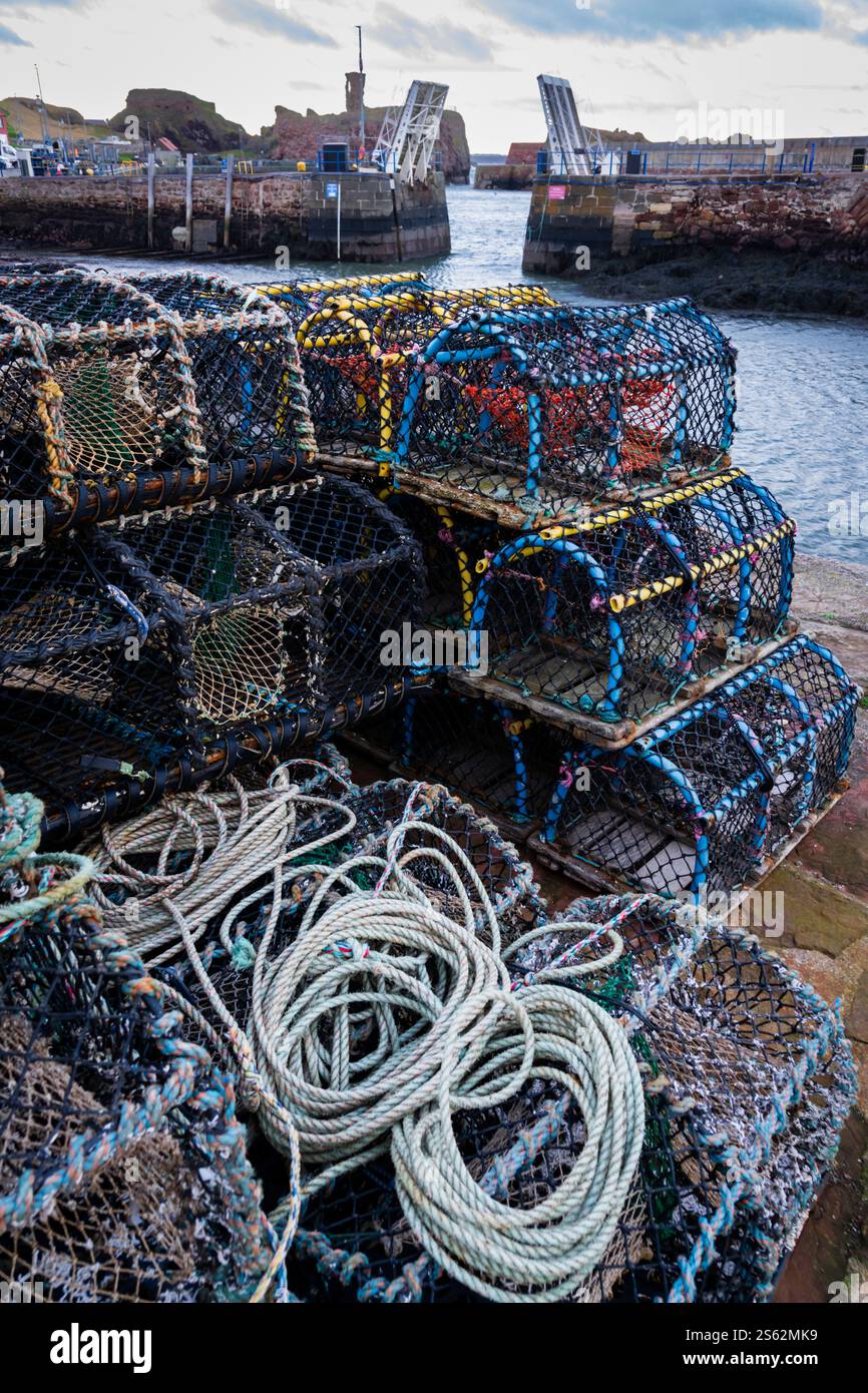 Dunbar - Cromwell Harbour, uno dei due bacini portuali del porto di pescatori scozzese nell'East Lothian Foto Stock