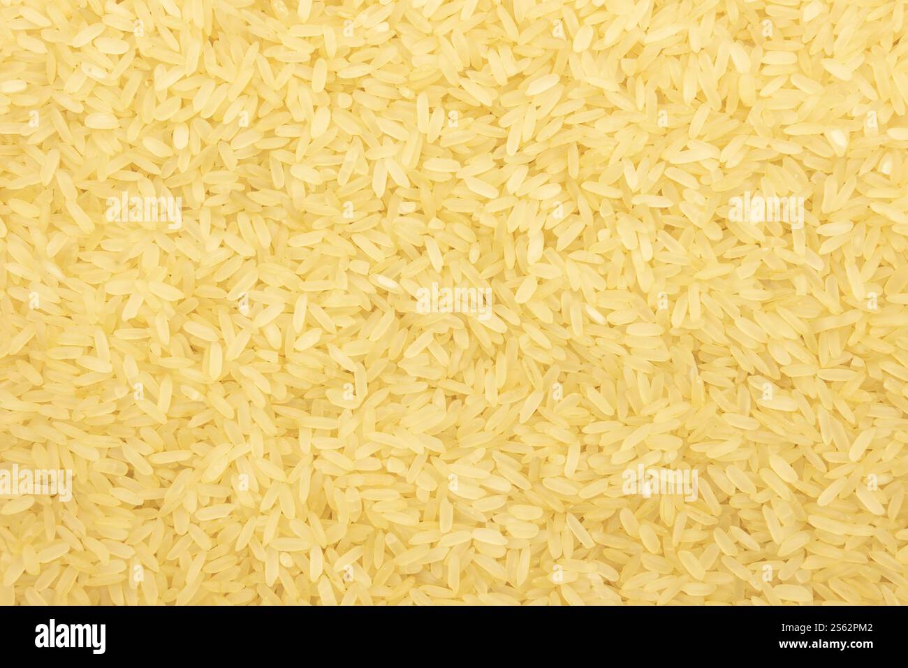 primo piano di riso bianco crudo Foto Stock