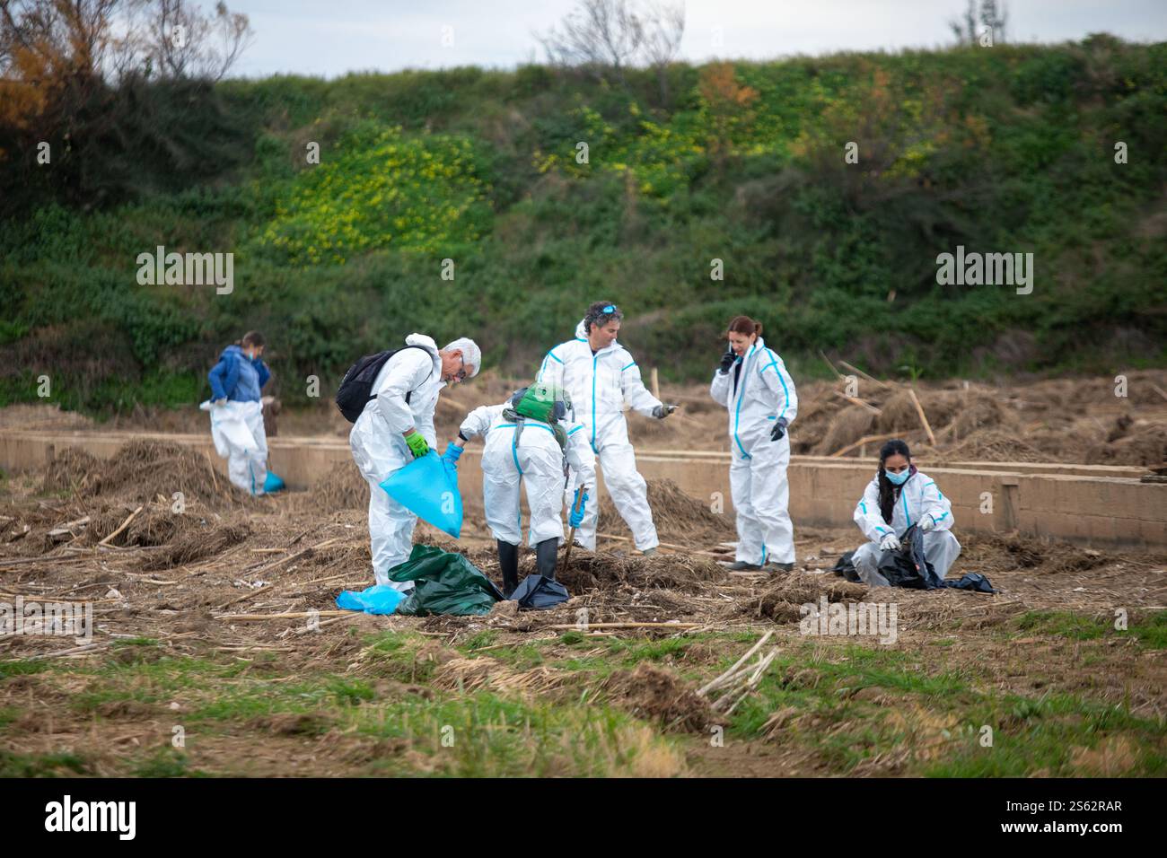 I volontari puliscono campi di rifiuti, pellet, edifici e prodotti chimici dopo le inondazioni dell'ottobre 29. Foto Stock