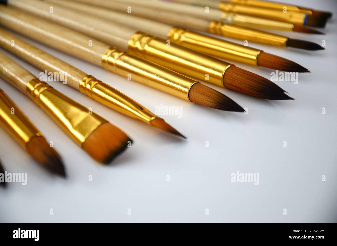 Una selezione di pennelli arancioni con dimensioni diverse su una superficie bianca, strumenti artistici di sfondo per la pittura del volto. Una selezione di pennelli arancioni con Foto Stock