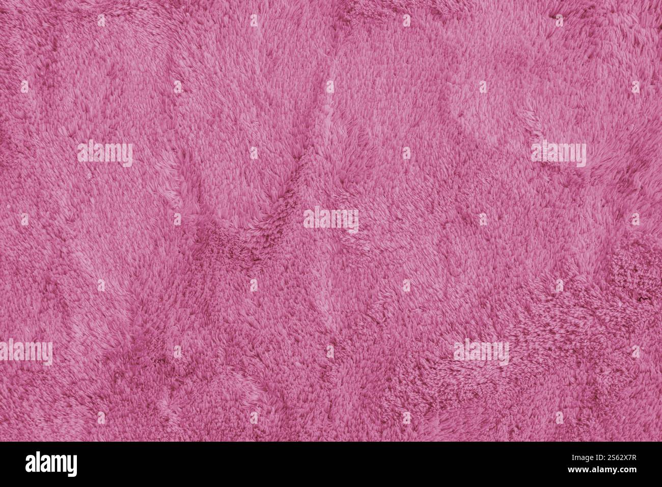 Morbida moquette rosa. Morbida pelliccia tessile sintetica, tessuto morbido, sfondo in tessuto coperta. Sfondo, sfondo, tinta unita Foto Stock