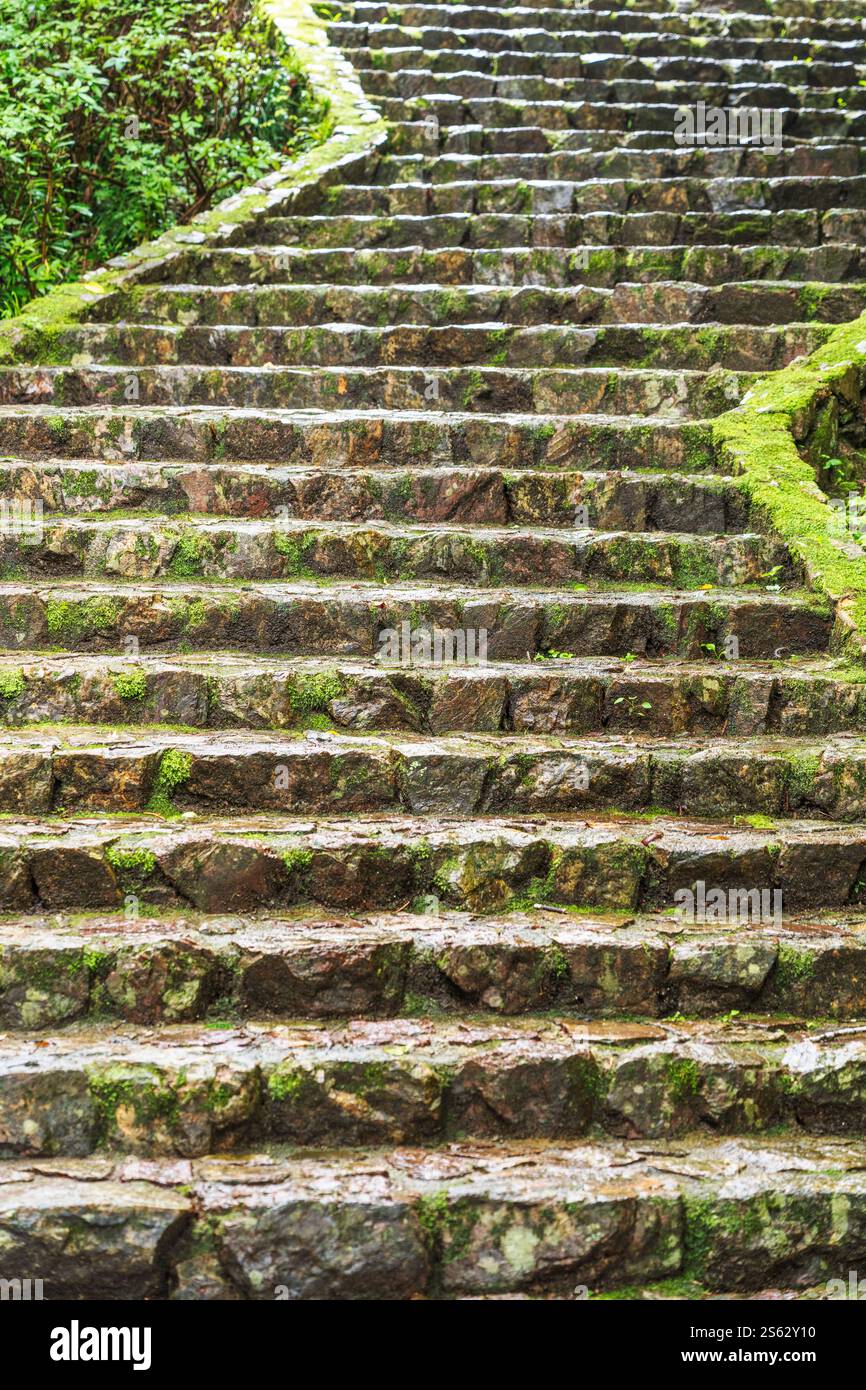 Scale a Gifu Park, Gifu City, Prefettura di Gifu, Giappone. Foto Stock