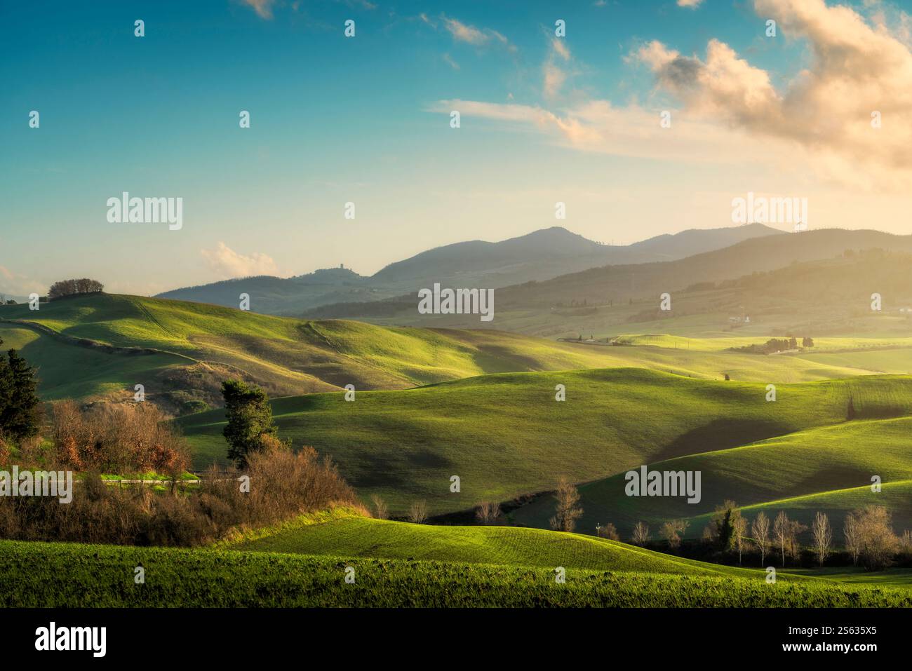 Paesaggio collinare al tramonto nella campagna di Lajatico. Montecatini Val di Cecina paese sullo sfondo. Provincia di Pisa, regione Toscana, IT Foto Stock