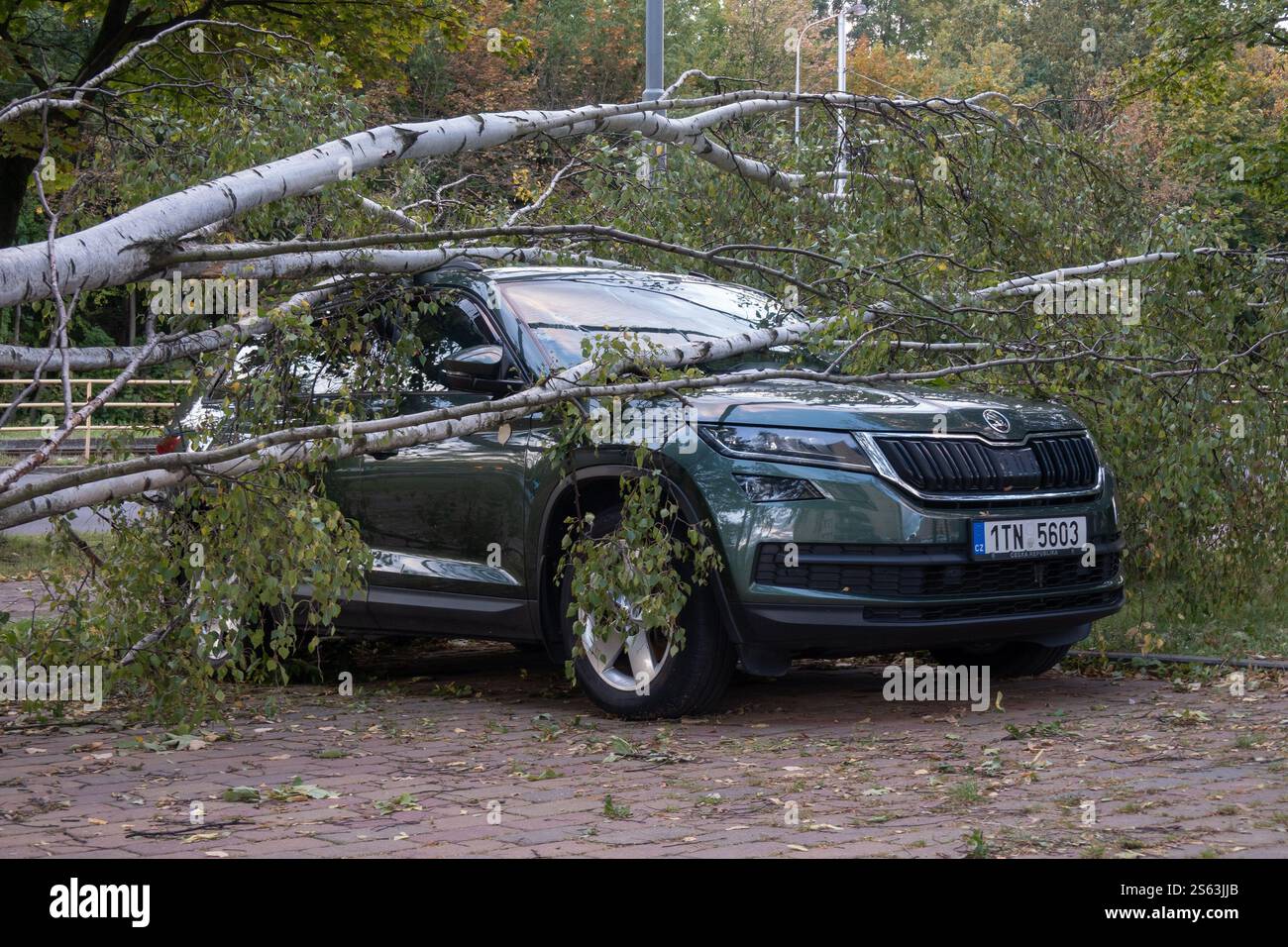 OSTRAVA, REPUBBLICA CECA - 15 SETTEMBRE 2024: Albero rotto caduto sul SUV Skoda Kodiaq nel parcheggio dopo l'uragano Foto Stock