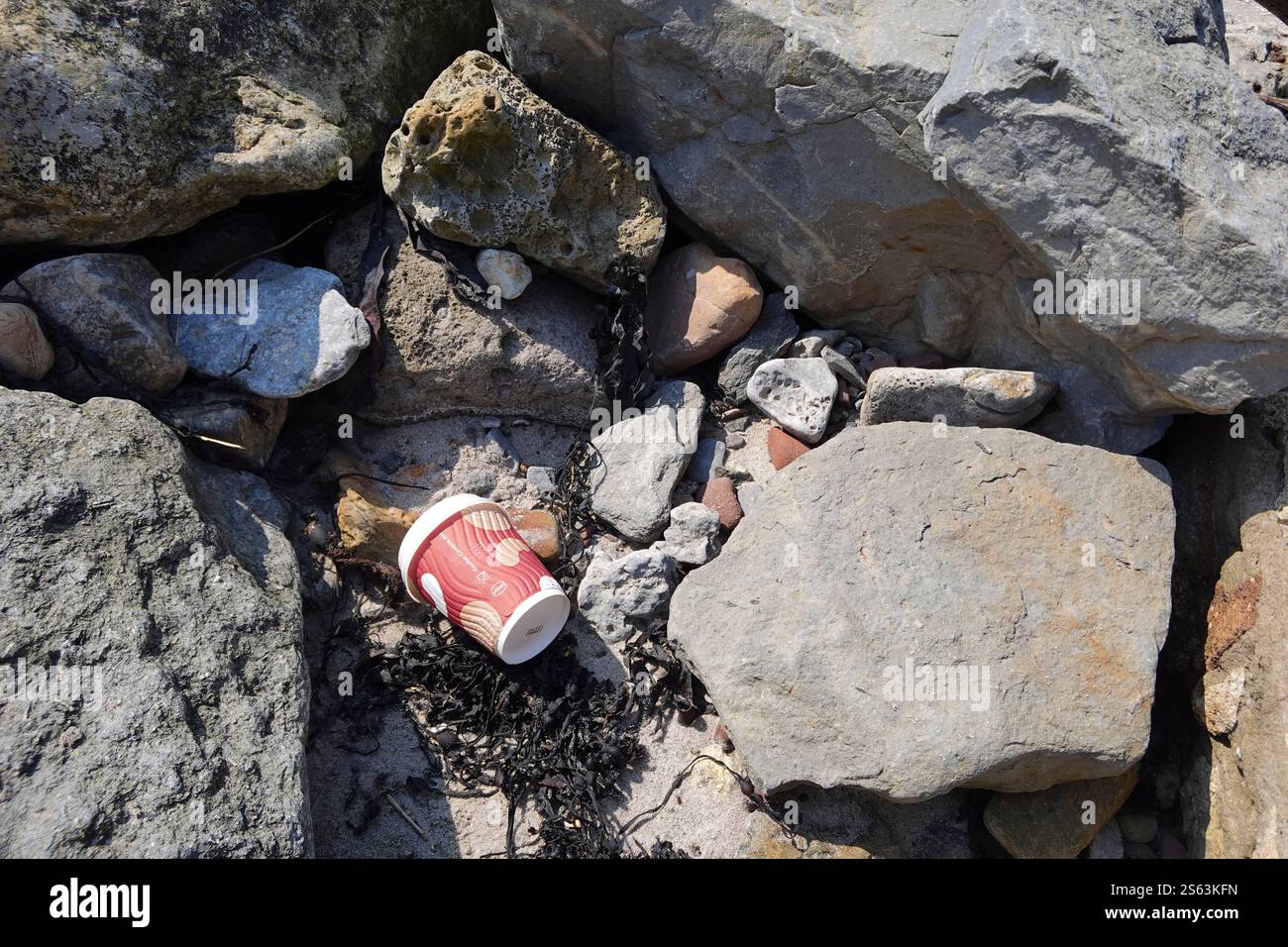 Spazzatura disseminata tra le rocce sulla spiaggia Foto Stock