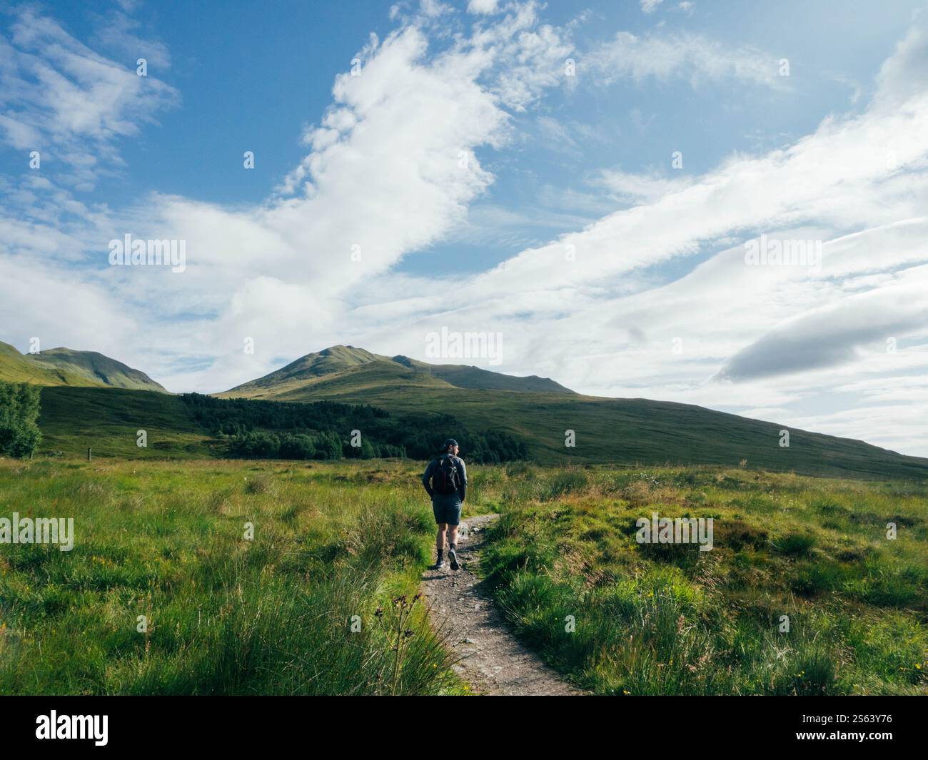 Uomo che fa trekking a Munro in Scozia in un giorno d'estate Foto Stock