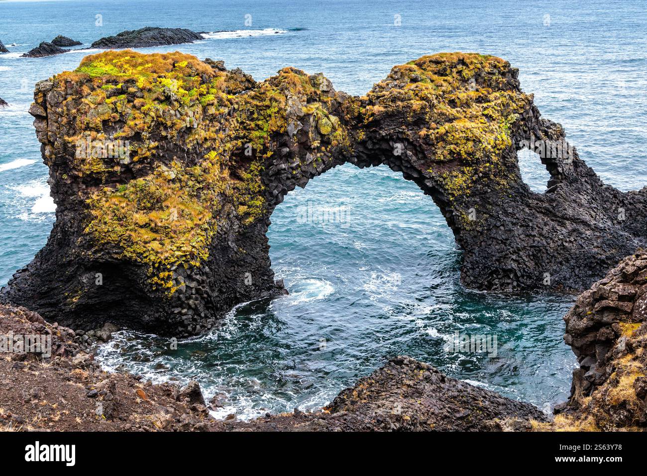 Scogliere sulla costa di Arnarstapi sull'isola d'Islanda nell'Atlantico settentrionale Foto Stock