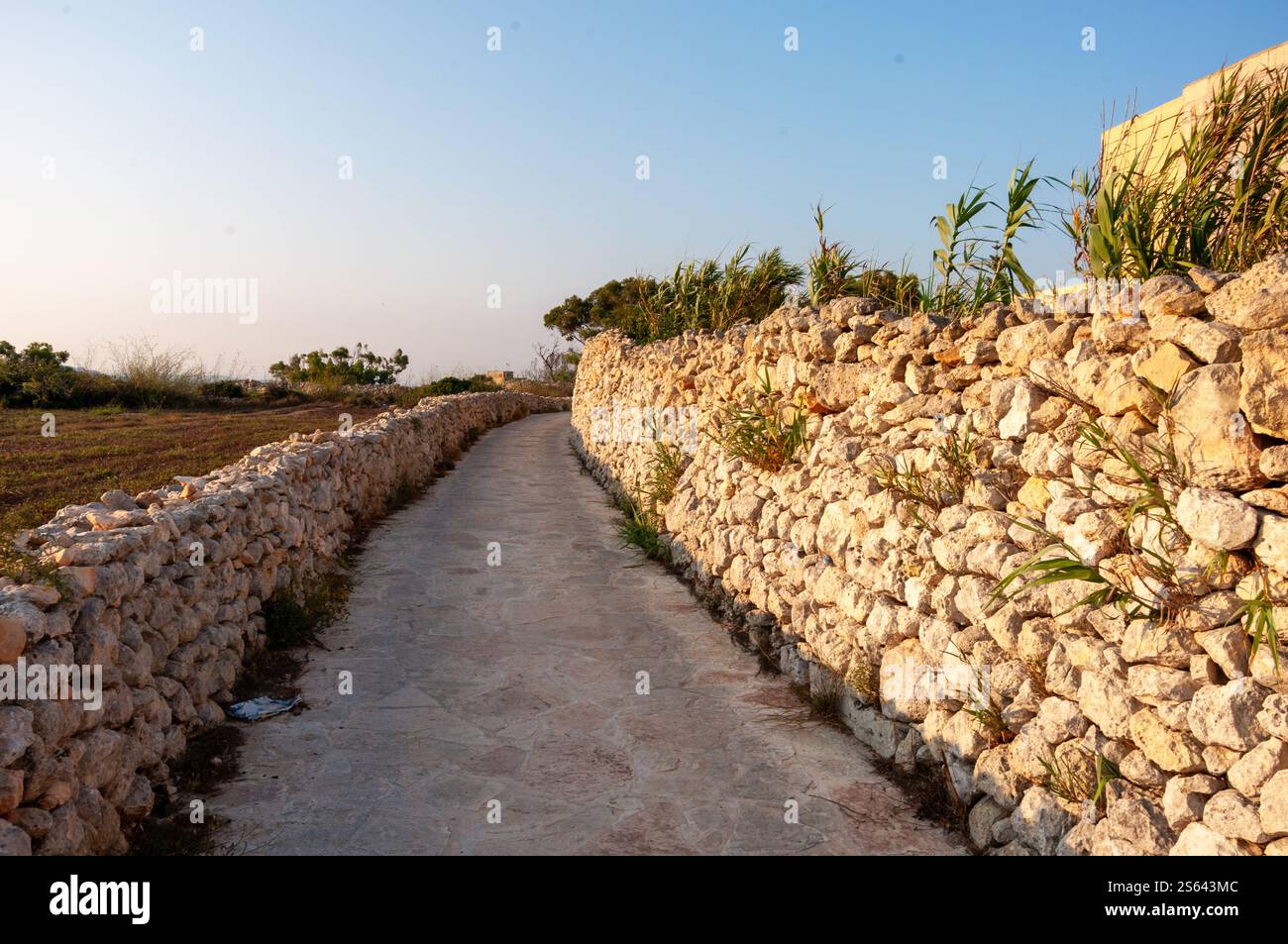 Un sentiero è fiancheggiato da rocce e piante. Il sentiero è stretto e tortuoso, che conduce a un muro. Il muro è fatto di pietra ed è ricoperto di piante. Lo scen Foto Stock