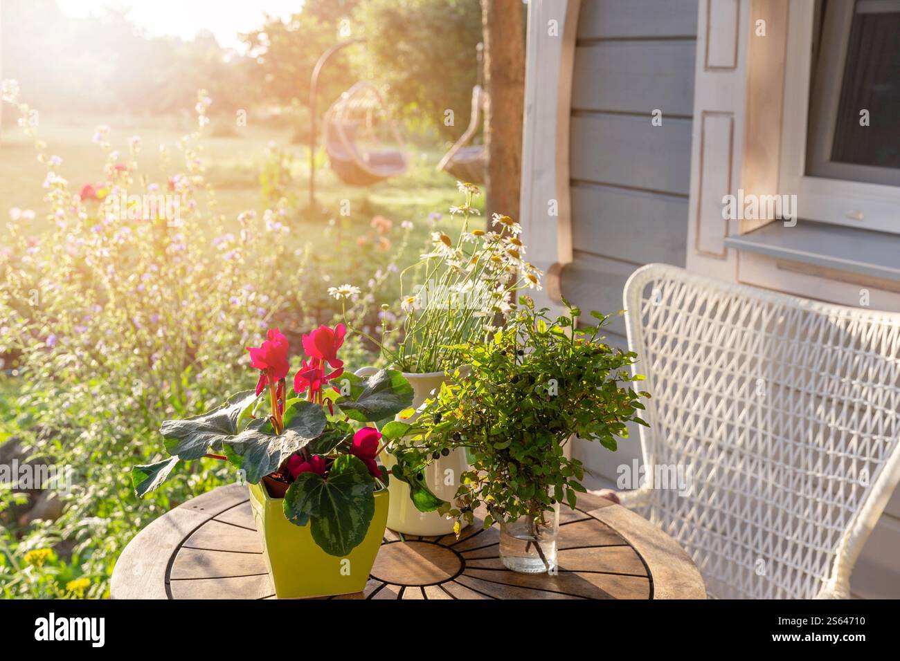 Ciao estate. Un'accogliente terrazza con un tavolo in legno, fiori alla luce del sole e una sedia in vimini, affacciata su un vivace giardino. Perfetto per il relax e. Foto Stock