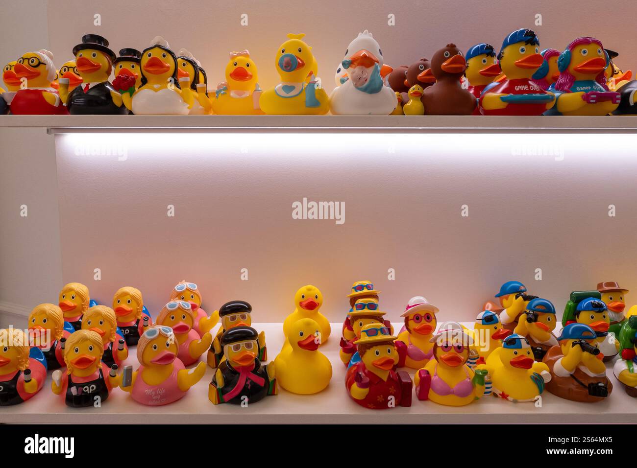 Varie anatre giocattolo di gomma gialle su uno scaffale in un negozio che vende come regalo Foto Stock