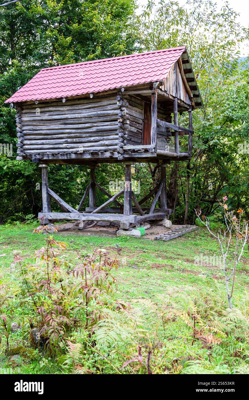 Viaggia verso la Georgia, vecchia capanna di legno sopra terra per immagazzinare le colture nel villaggio di Kedkedi in Agiaria il giorno d'autunno Foto Stock