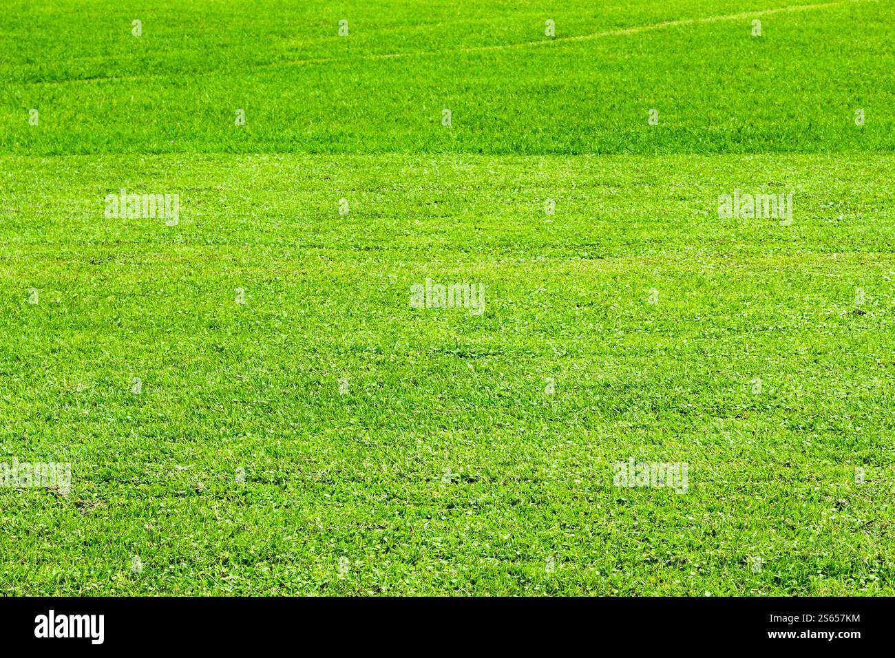 Viaggia in Georgia: Prato verde rifinito in Adjara il giorno d'autunno Foto Stock