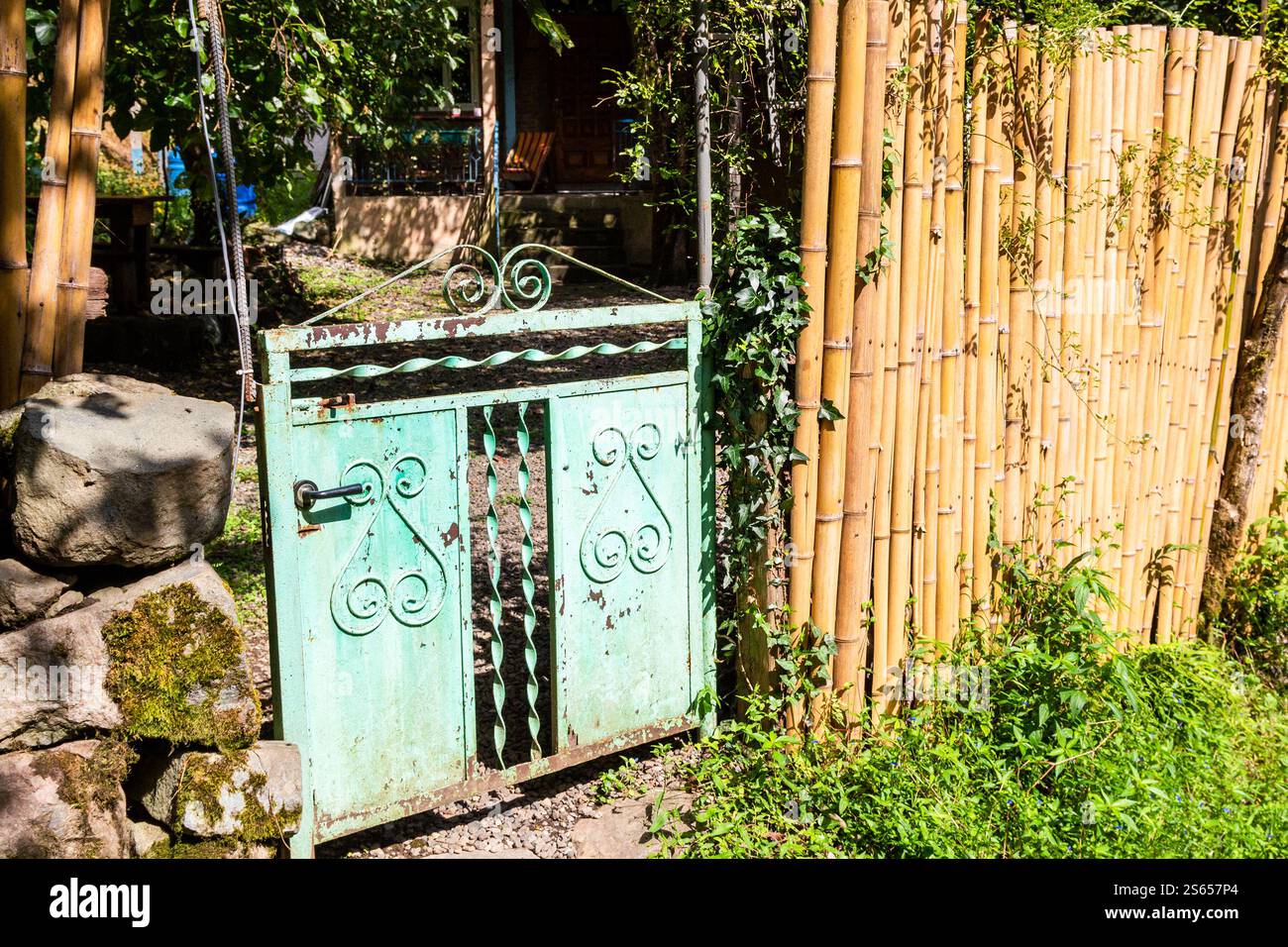 Viaggia verso la Georgia: Recinzione di bambù e vecchia porta del cortile rurale nel villaggio di Mirveti in Agiaria, il soleggiato giorno autunnale Foto Stock