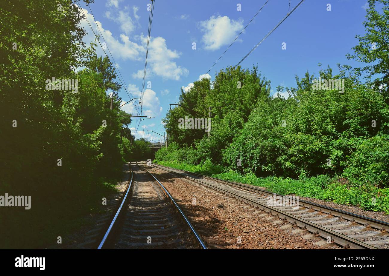 In estate lo scenario verde con i binari della ferrovia e cielo blu Foto Stock