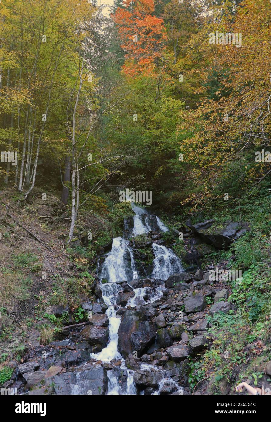 Una cascata di montagna scorre sopra le rocce. Cascata su rocce muschiate in autunno. Una cascata di montagna scorre sopra le rocce. Cascata Foto Stock