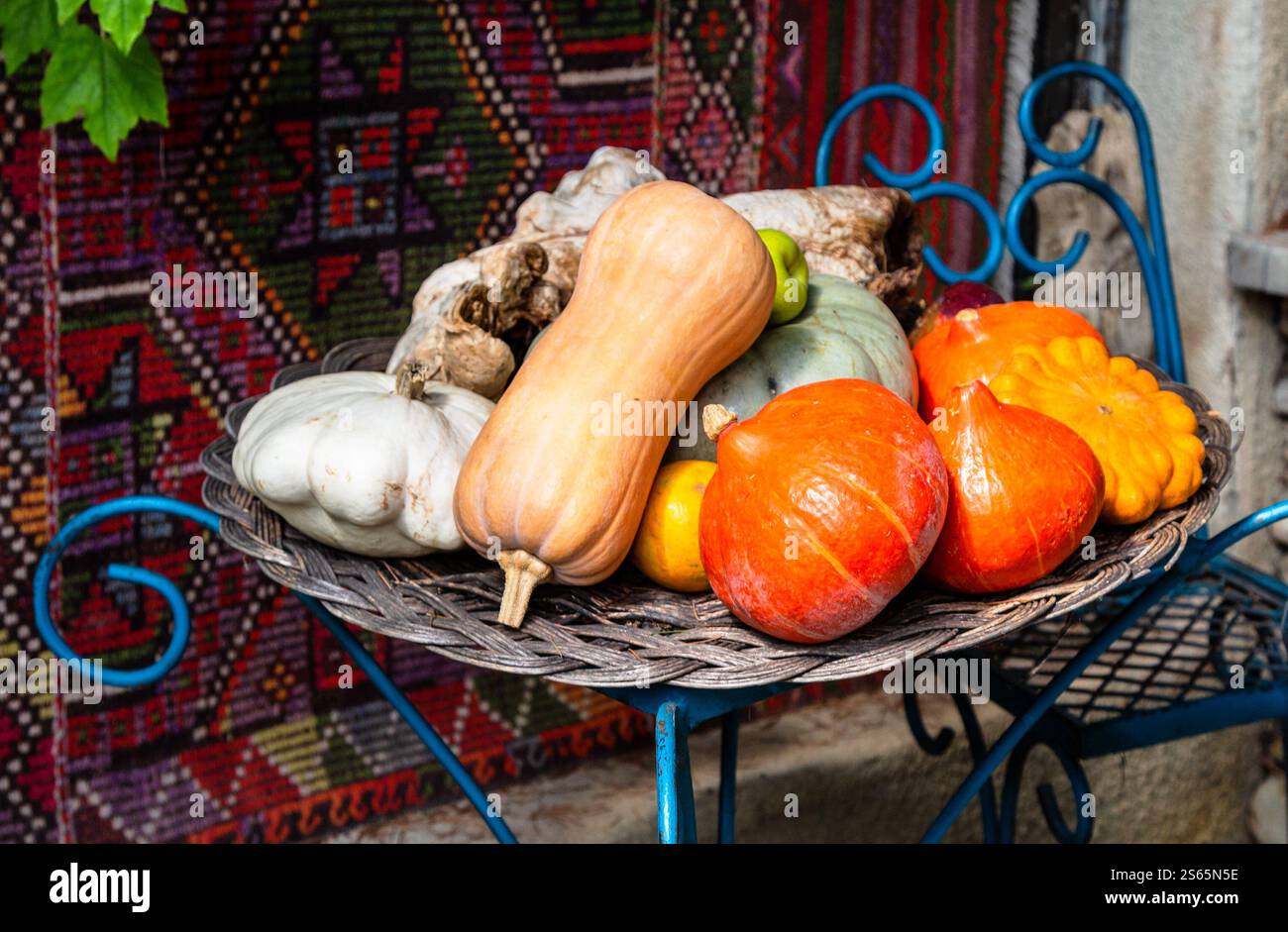 Viaggio in Georgia: Raccolta di varie zucche mature e squash sul tavolo nel cortile della casa contadina nel villaggio di Kakheti, Georgia, il giorno autunnale Foto Stock