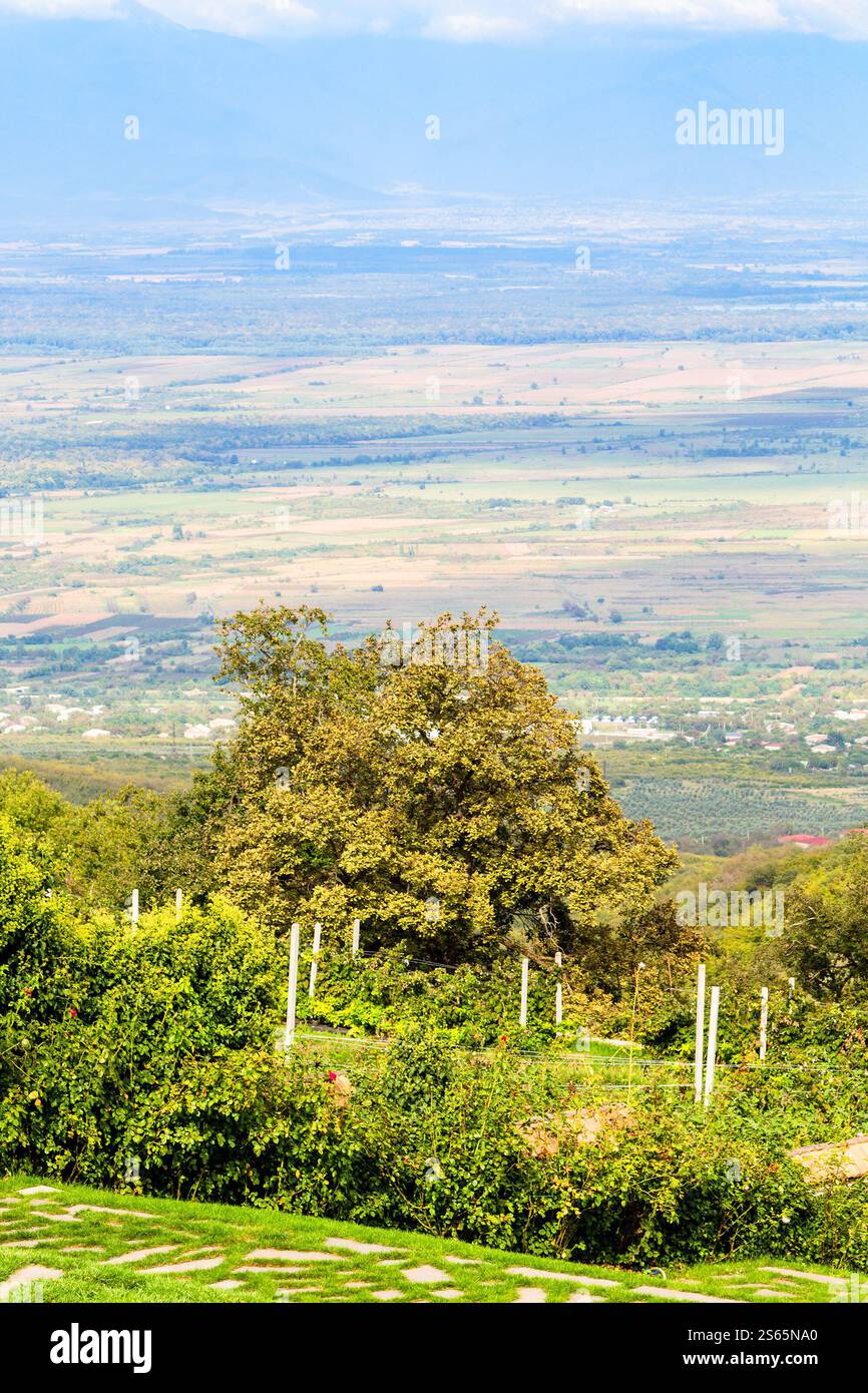 Viaggio in Georgia - sopra la vista della pianura di Kakheti dal monastero di Bodbe nella regione di Kakheti in Georgia nel soleggiato giorno autunnale Foto Stock