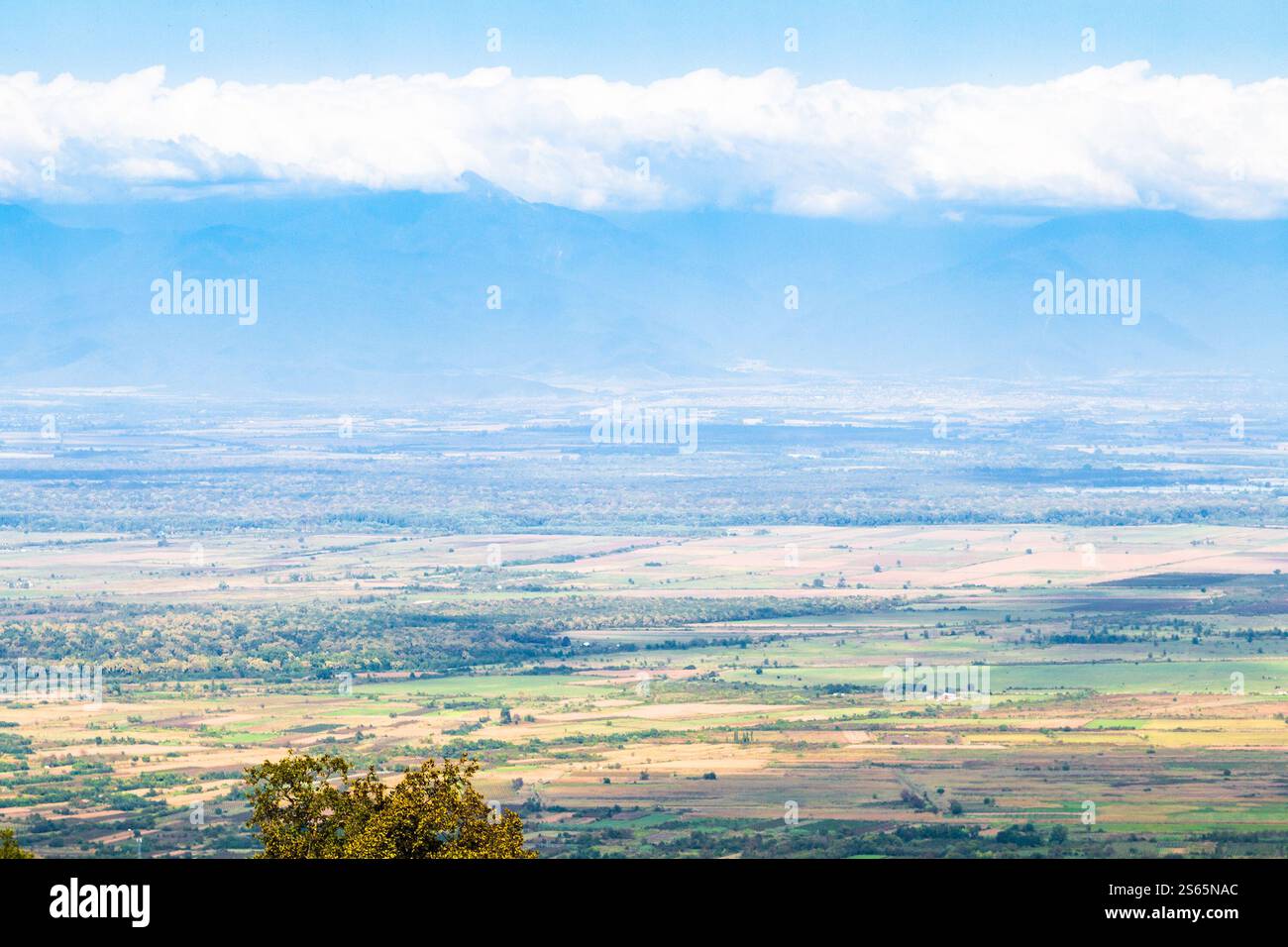 Viaggio in Georgia - panorama della Valle di Alazan dal monastero di Bodbe nella regione di Kakheti in Georgia in un giorno d'autunno soleggiato Foto Stock