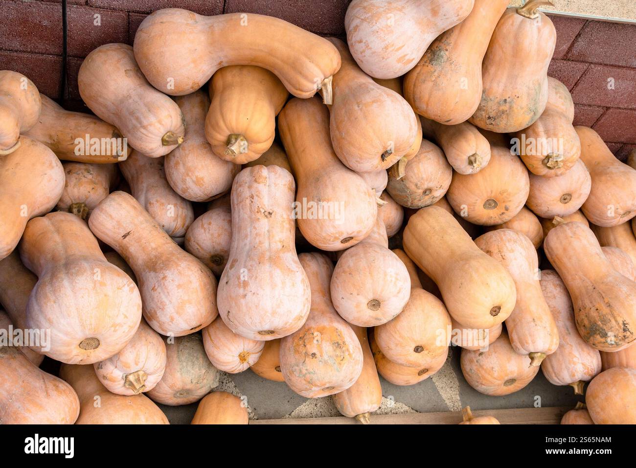 Viaggia in Georgia - mucchio di zucche al mercato del villaggio nella regione di Kakheti in Georgia Foto Stock