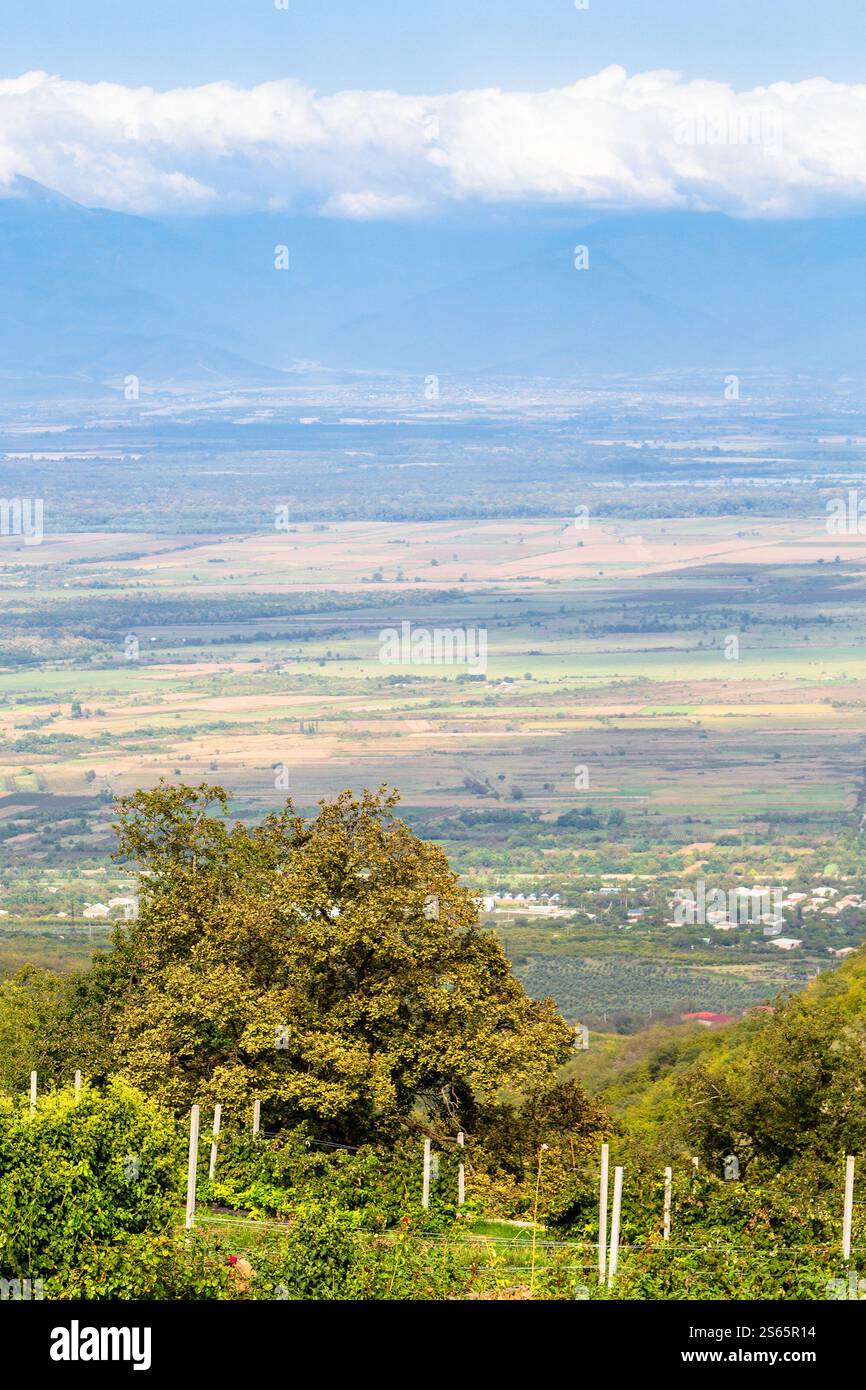 Viaggio in Georgia - vista dei giardini e della valle di Alazan dal monastero di Bodbe nella regione di Kakheti in Georgia nel soleggiato giorno autunnale Foto Stock