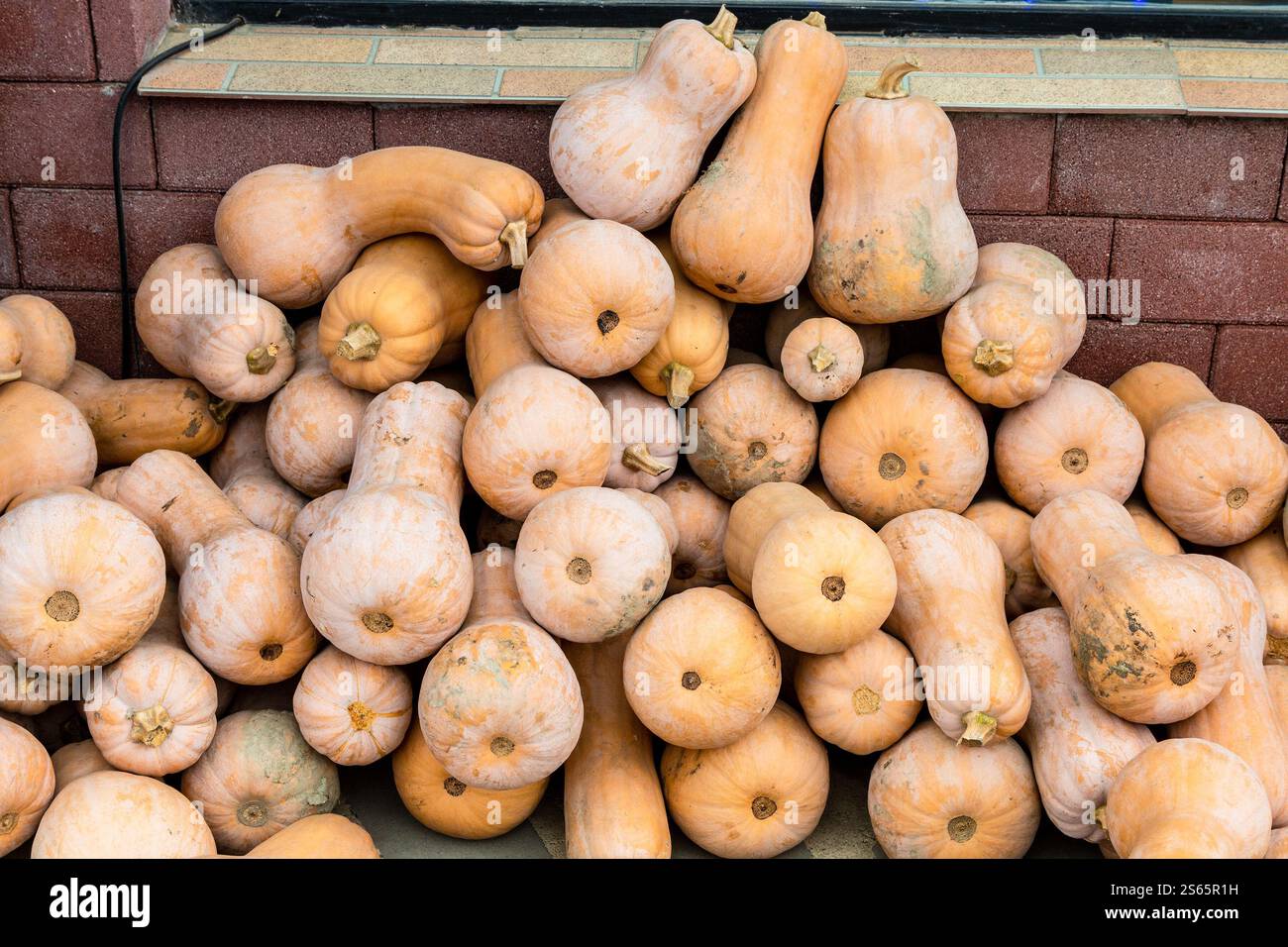 Viaggia in Georgia - un mucchio di zucche al mercato del villaggio nella regione di Kakheti in Georgia Foto Stock