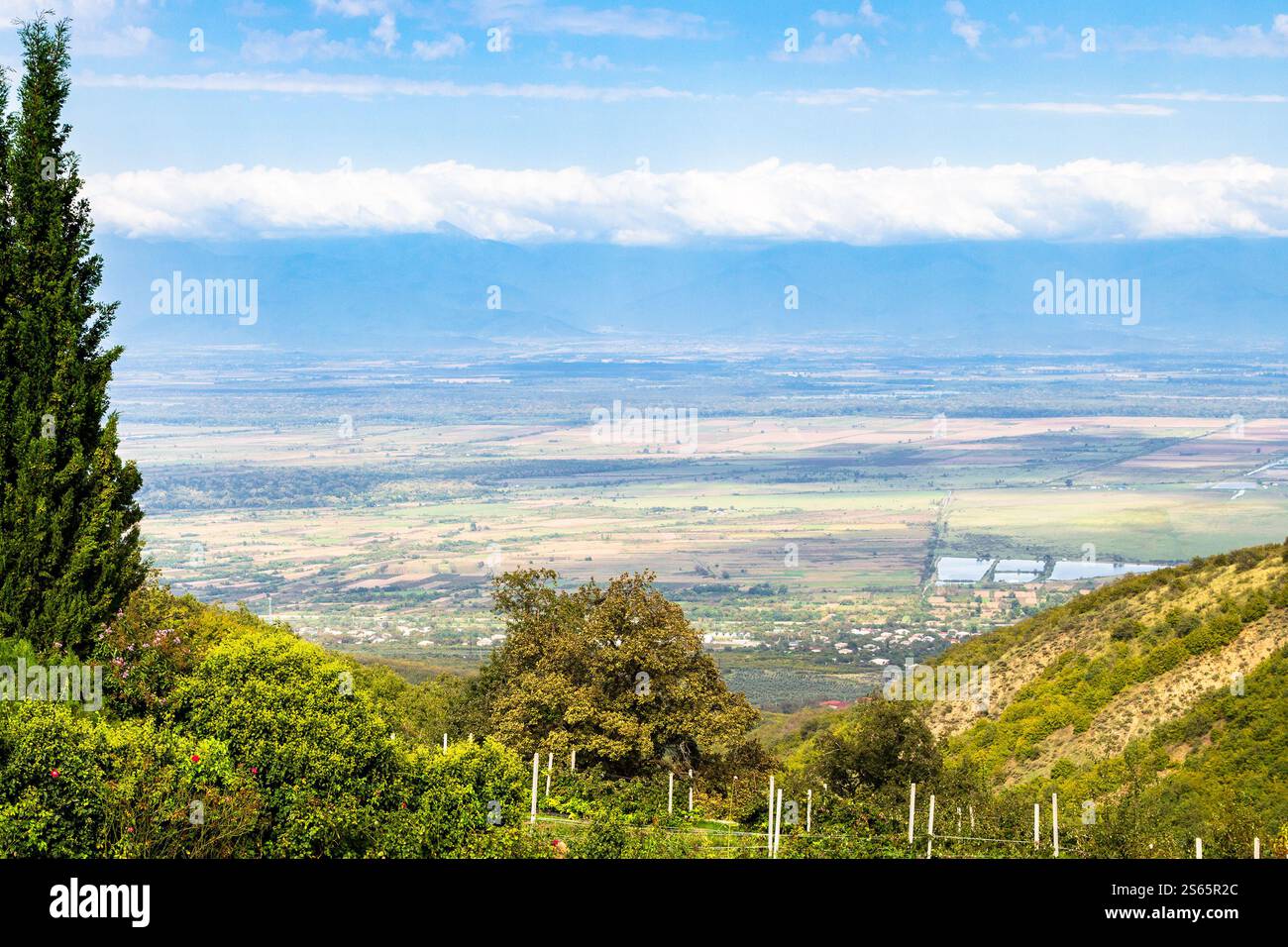 Viaggia in Georgia - sopra la vista della valle di Alazan dal monastero di Bodbe nella regione di Kakheti in Georgia nel soleggiato giorno autunnale Foto Stock