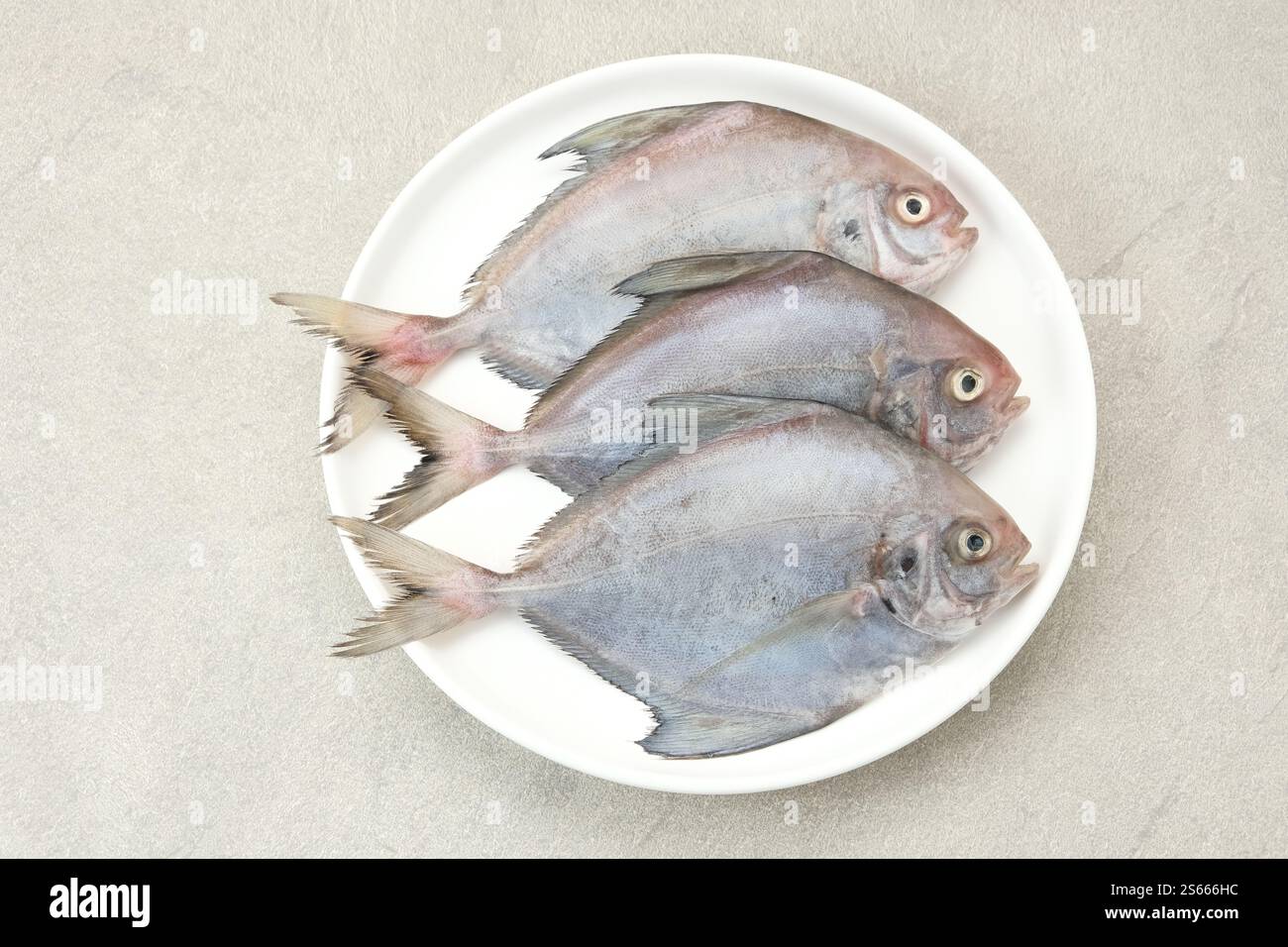 Ikan Dorang o Ikan Bawal Putih, preparazione alimentare Foto Stock