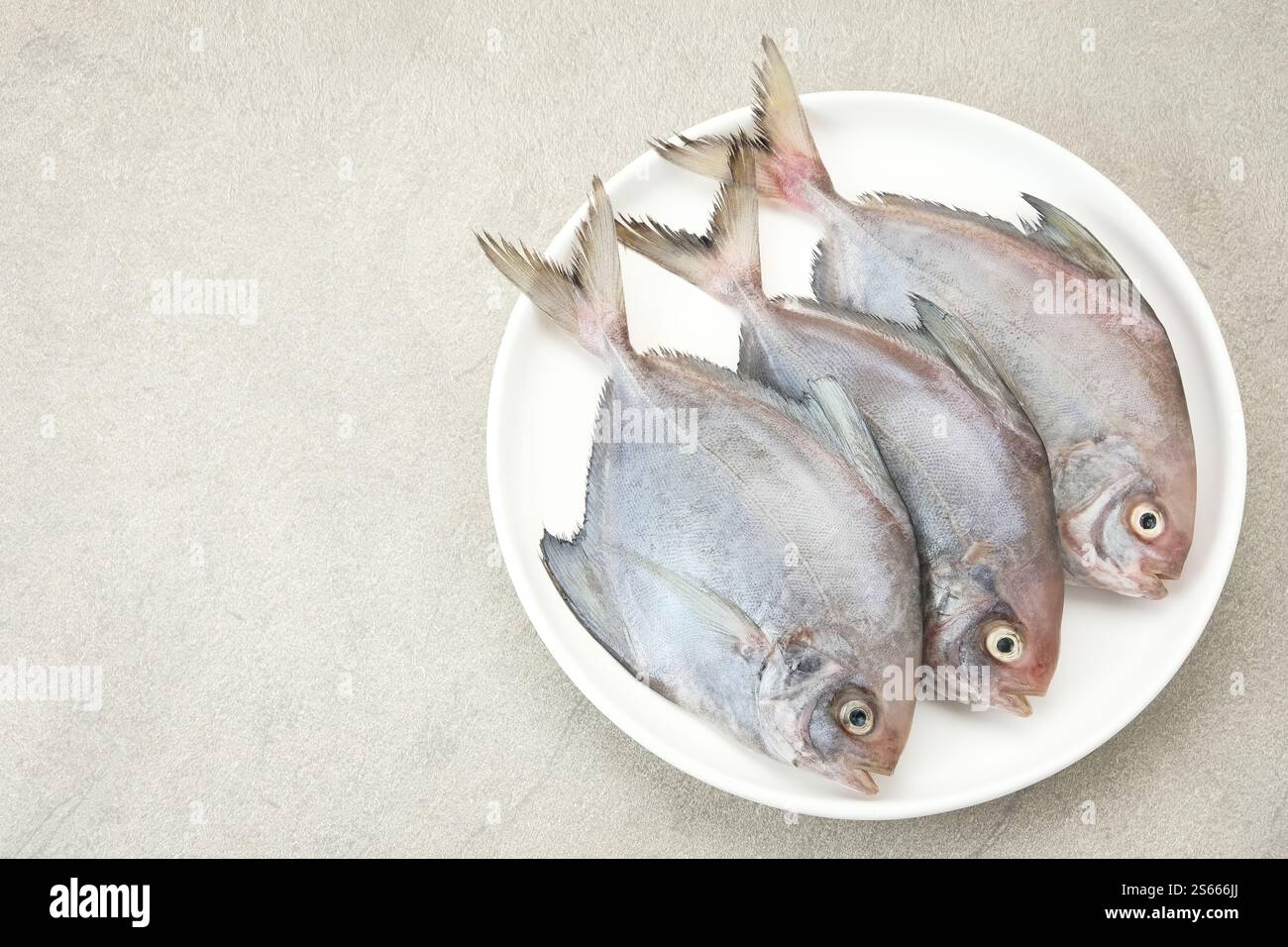 Ikan Dorang o Ikan Bawal Putih, preparazione alimentare Foto Stock