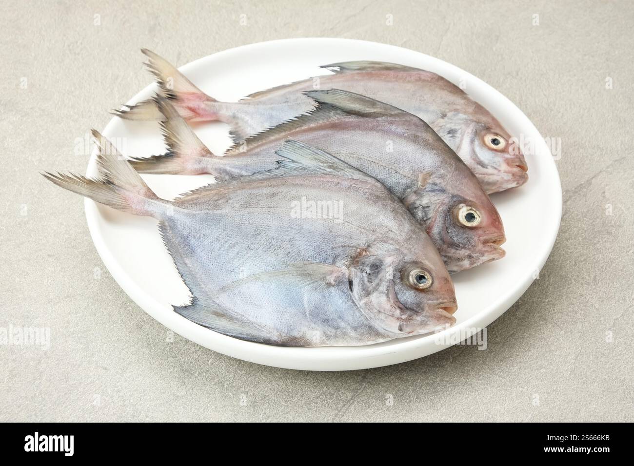 Ikan Dorang o Ikan Bawal Putih, preparazione alimentare Foto Stock
