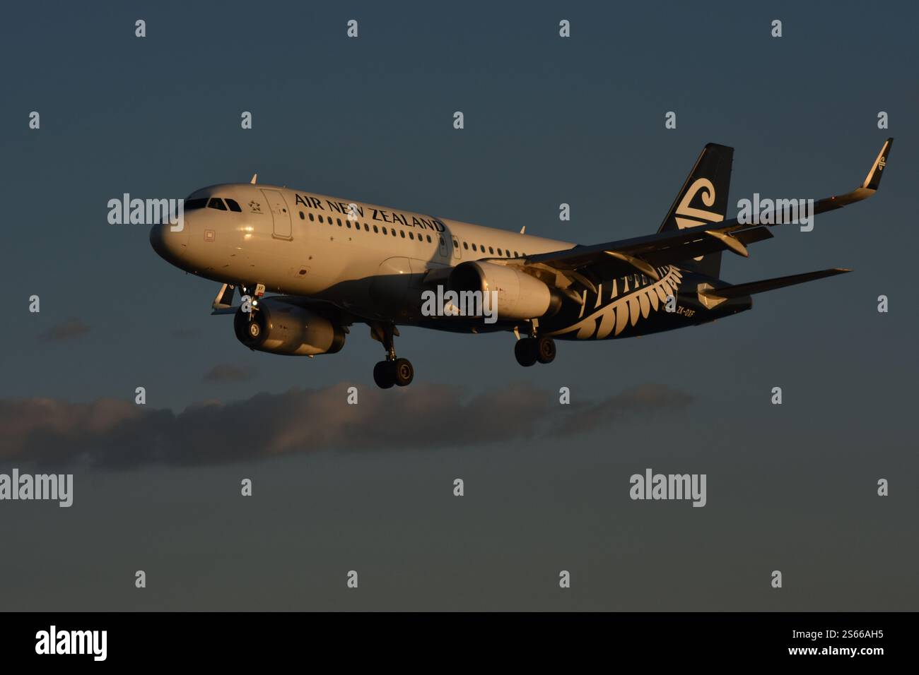 Volo Air New Zealand in avvicinamento all'aeroporto di Wellington. Catturati di sera con una reflex digitale Nikon Foto Stock