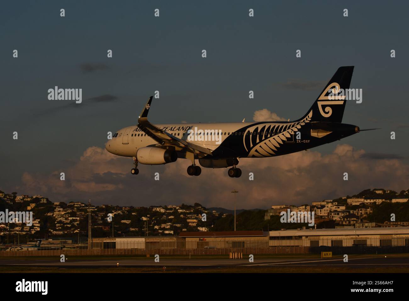 Air New Zealand poco prima di scendere dalla pista dell'aeroporto di Wellington, catturata nel pomeriggio con riflessi di luce solare visibili Foto Stock