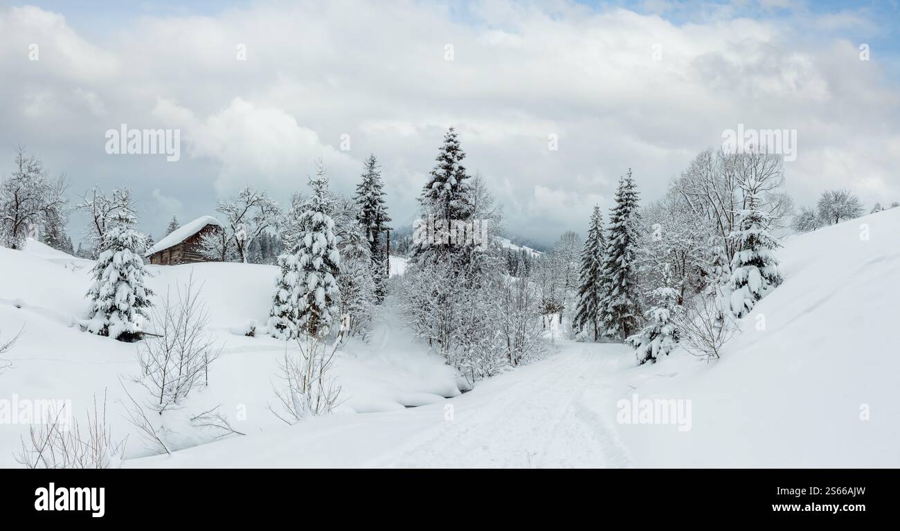 Casa in legno, strada rurale e alberi innevati sul pendio invernale dei Carpazi ucraini con il tempo nuvoloso. Foto Stock