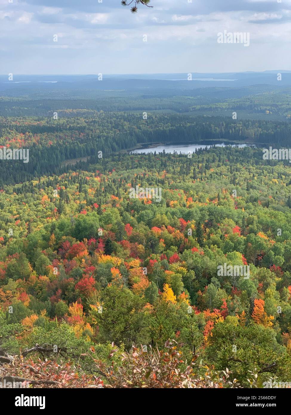 Vista dalla montagna alla foresta canadese autunnale con un lago Foto Stock