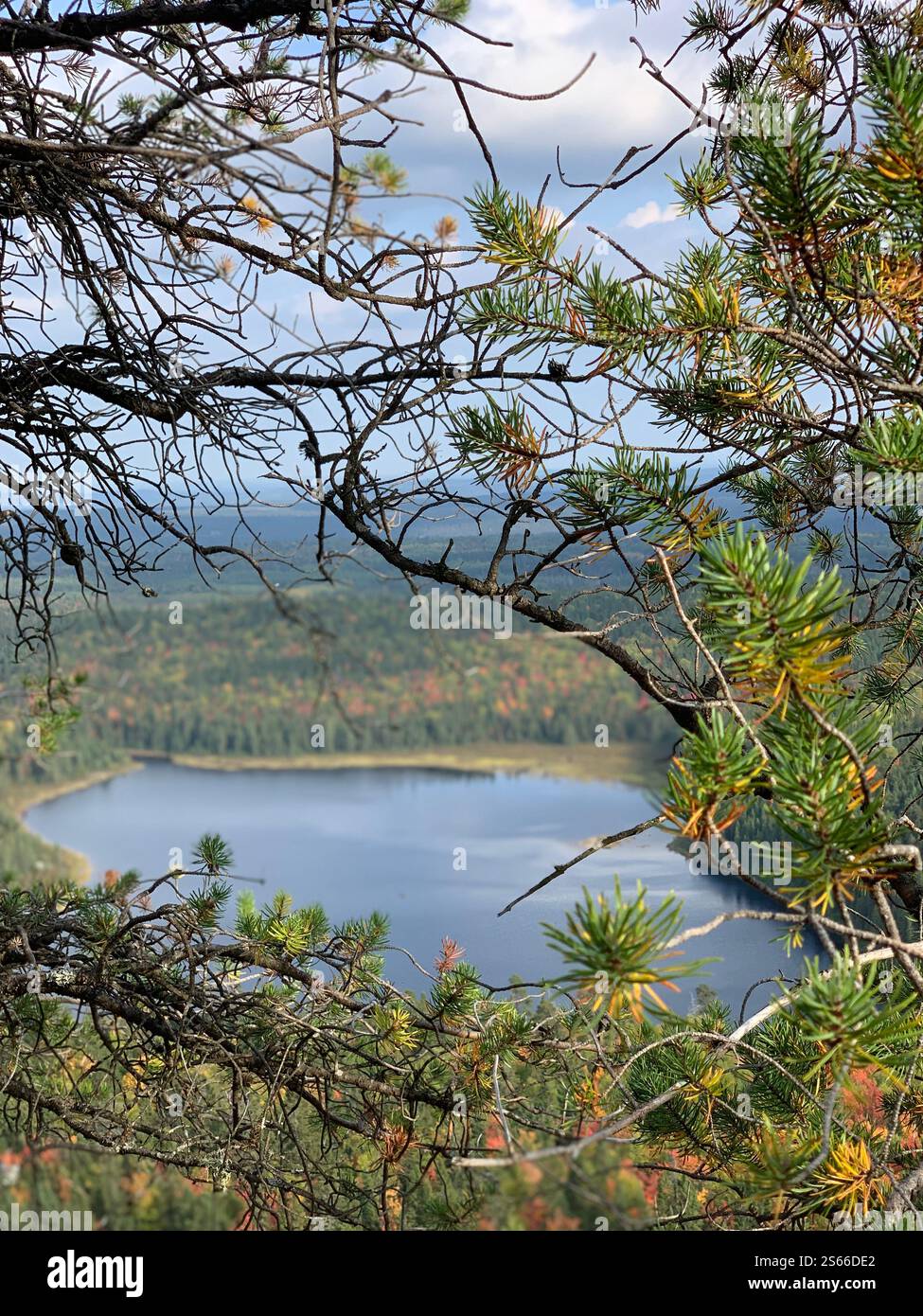 Vista dalla montagna alla foresta canadese autunnale con un lago Foto Stock