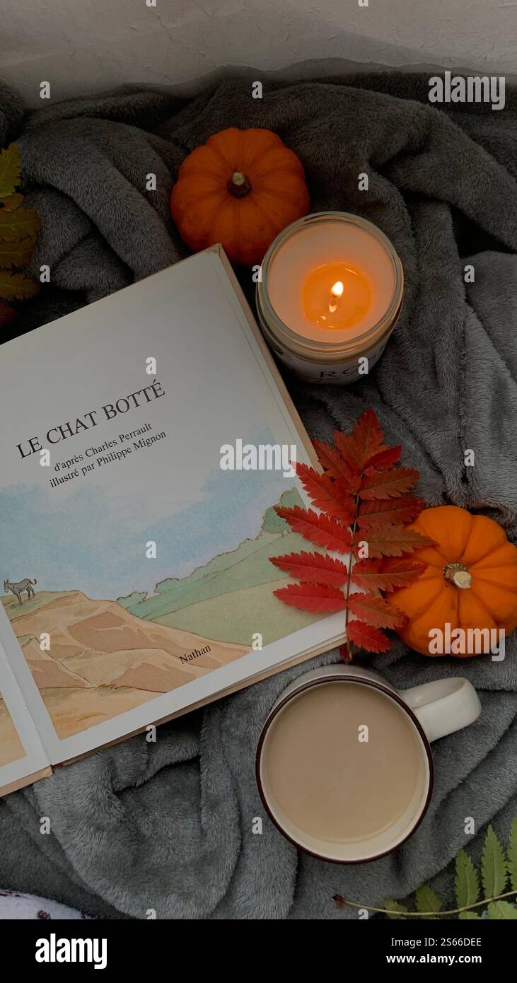 Ritratto estetico d'autunno con una tazza di tè caldo - Immagine stock catturata con smartphone