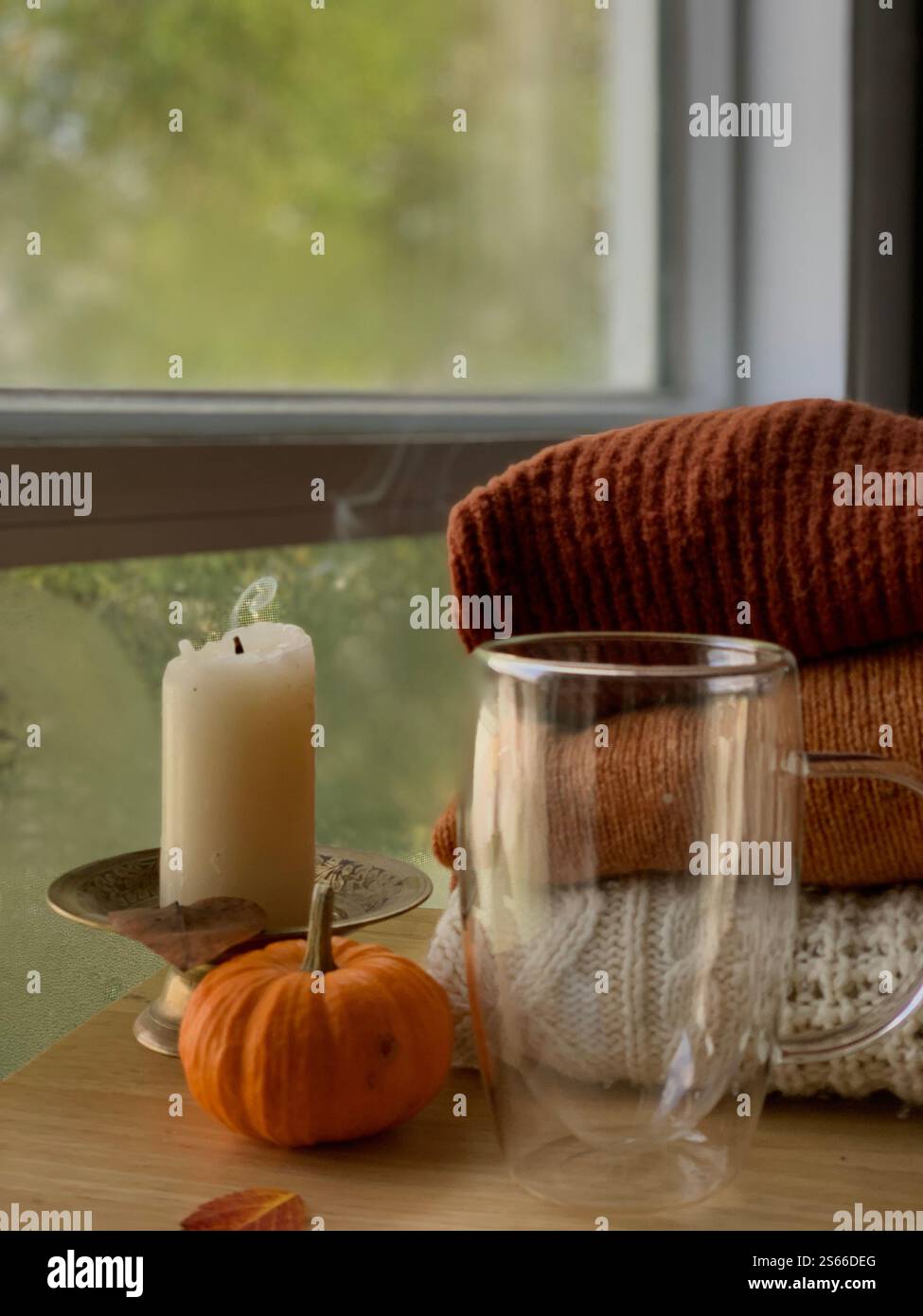 Ritratto estetico d'autunno con una tazza di tè caldo - Immagine stock catturata con smartphone